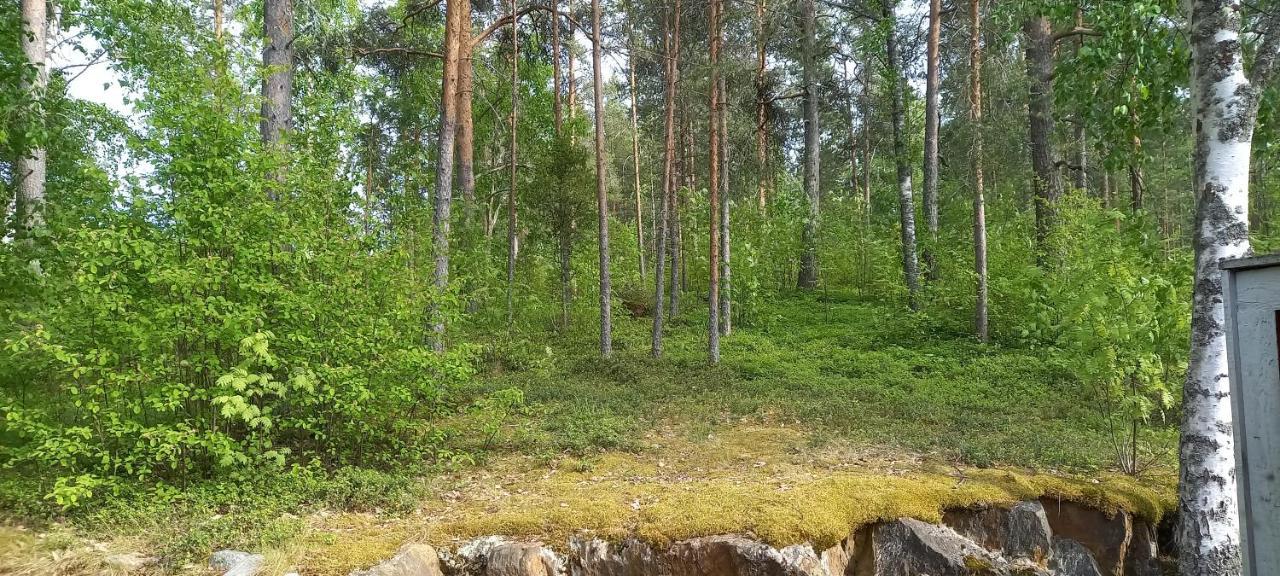 Saimaan Kodikas Apartment Савонлина Екстериор снимка