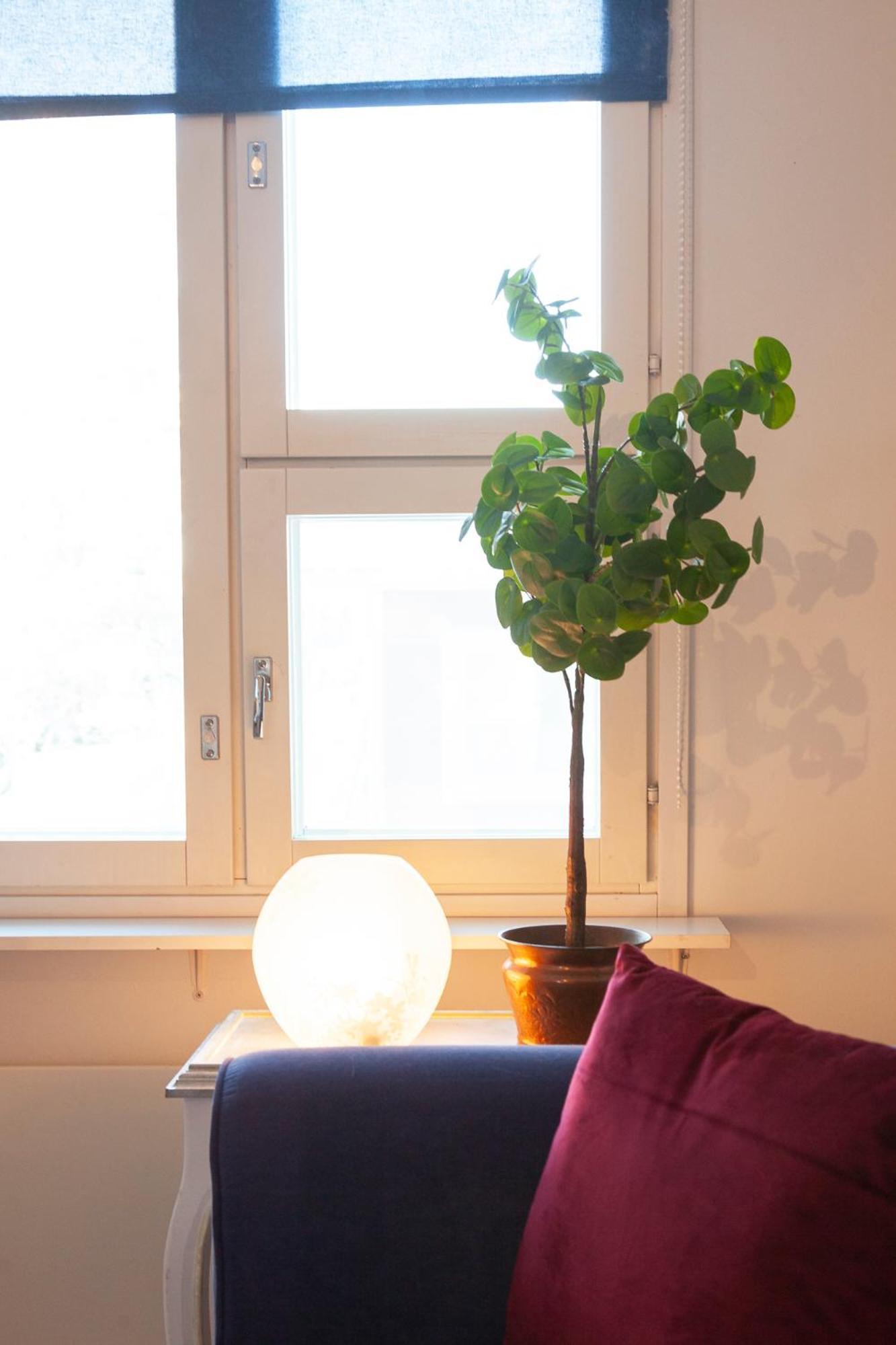 Saimaan Kodikas Apartment Савонлина Екстериор снимка